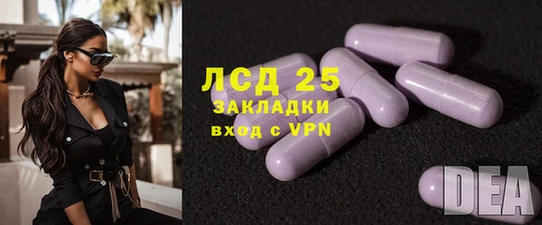 шишки Беломорск