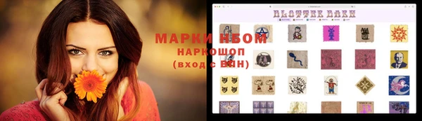 шишки Беломорск