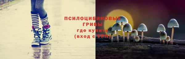 шишки Беломорск