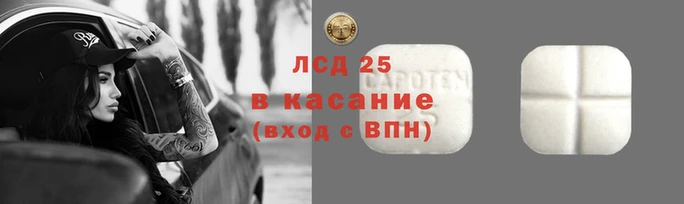 шишки Беломорск