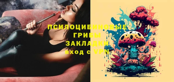 шишки Беломорск