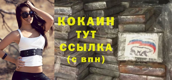 молекула духа Белоозёрский