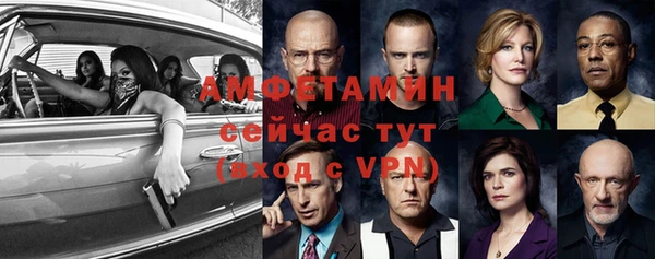 шишки Беломорск