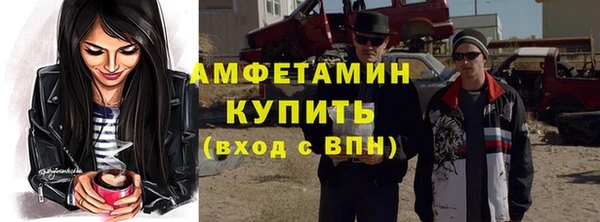 шишки Беломорск